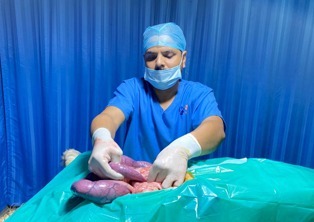 Experienced Veterinary Surgeon in Vizag